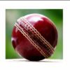 Red Leather Cricket Ball, Premium Quality, Durable & Long-Lasting - Image 2